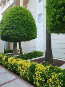 Dobedan Exclusive & Spa ''Ex Brand Alva Donna Exclusive & Spa'' - 15