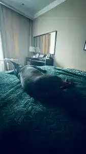 Ramada by Wyndham Kazan City Centre - 81