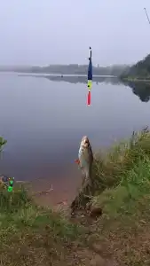 Alexandrovskaya Sloboda - 46