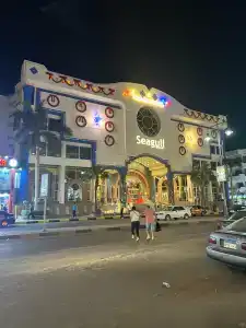 Seagull Beach Resort - Families and Couples Only - 36