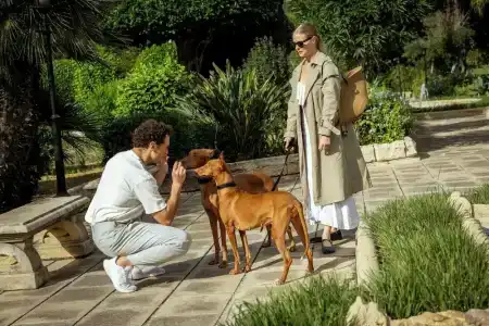 Corinthia Palace Malta - 23