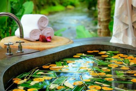 Fivelements Ubud - 3