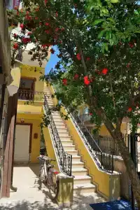 İznik Camlik Motel Restaurant - 5