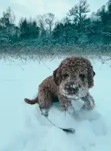 Domiki i doski Tourist base - 5