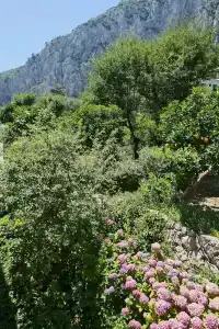 Della Piccola Marina - 19