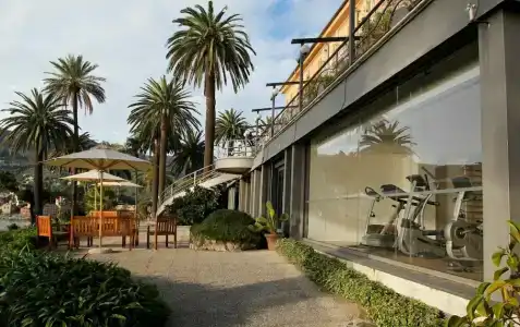 Continental - 33