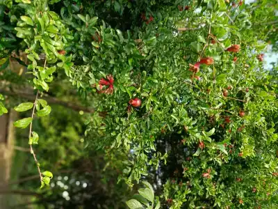 Yazon Tourist base - 49