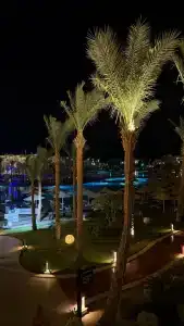 Beach Albatros Resort - 15