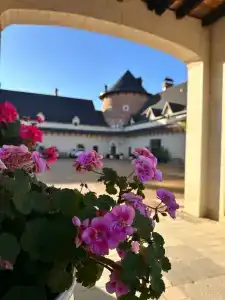 La Ferme de Reve - 30