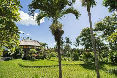 Alpin Resort and Villa Ubud - 37