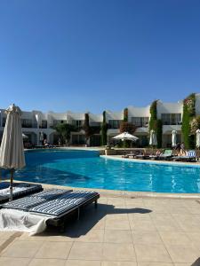 Eden Rock Namaa Bay - 34