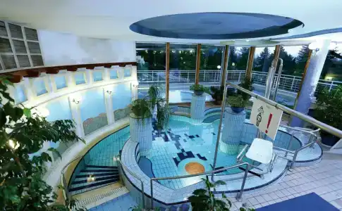 Ensana Thermal Aqua - 42