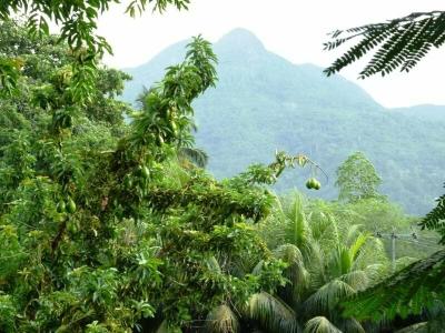 Romance Bungalows - 30