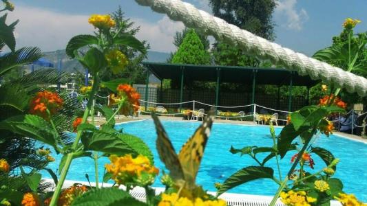 Girasole - 1