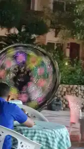 Falcon Naama Star - 47