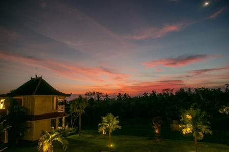B Saya Villas - 44