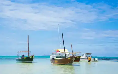 Mystik Life Style - 12