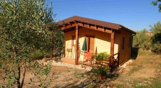 Agriturismo Terra di Pace - 4