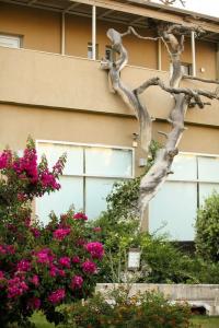 Sikyon Coast and Resort - 7