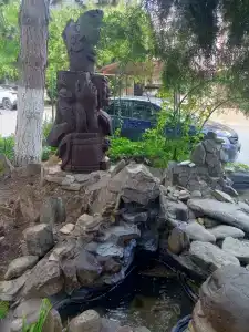 Pansionat Niva Sanatorium - 20