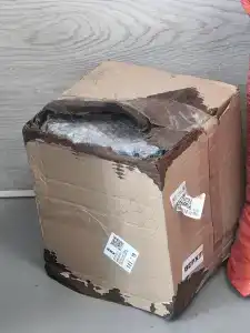 Skver Vyisotskogo - 53