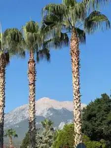 Stella&Spa All Inclusive - 28