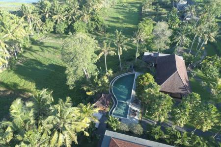 Alpin Resort and Villa Ubud - 34