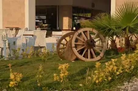 Andriake Beach Club - 29