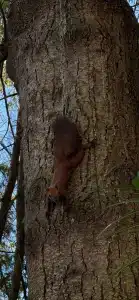 Belarus Sanatorium - 47