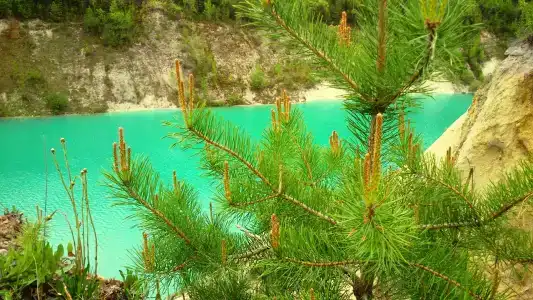 Sanatorii Energetik - 12