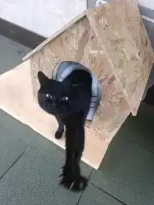 Dom Uchenykh Netr.p. Rzhavki Gostinitsa - 39