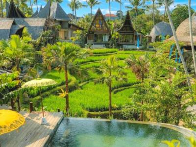 Menzel Ubud - 35