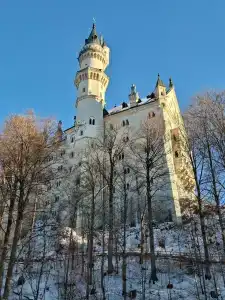 Ameron Neuschwanstein Alpsee Resort & Spa - 4