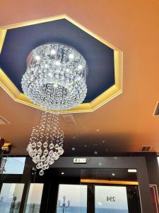 Queens Leriotis - 14