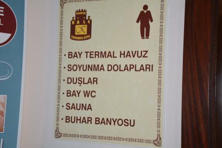 Garden Kale Thermal - 26