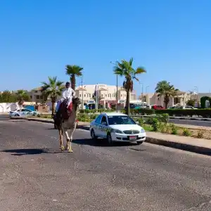 Sharming Inns - Couples and Families Only - 15