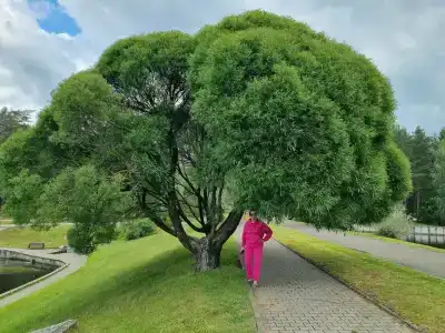 Медикал Спа Резорт Альфа Радон - 52