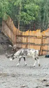 Baza Otdykha Ogni Imandry - 99