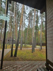 Ladozhskaya Rivyera - 87