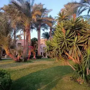 Tamra Beach Resort - 11