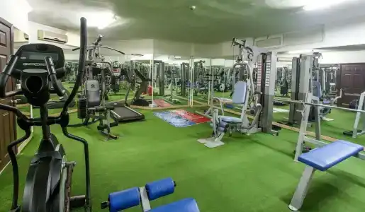 Kleopatra Royal Palm - 44