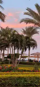 Sand Beach Resort - 4