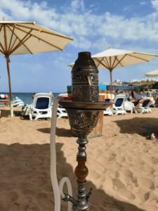 Falcon Naama Star - 26