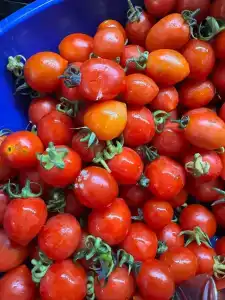 Aydinbey Gold Dreams - Ultra All Inclusive - 79