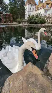 Usadba Meshcherskaya Park-Hotel - 16