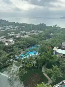Rosewood - 4