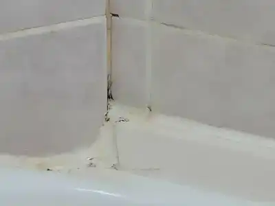 Регина Болгар - 89