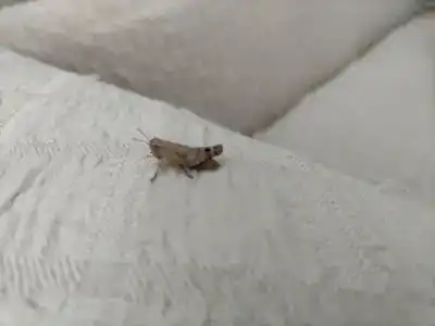 " Lesnaya skazka" Resort inn - 36