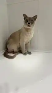 Ramada & Suites by Wyndham Alabuga - 35