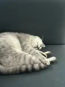 Santorini Family Club Plyazhnyy - 54